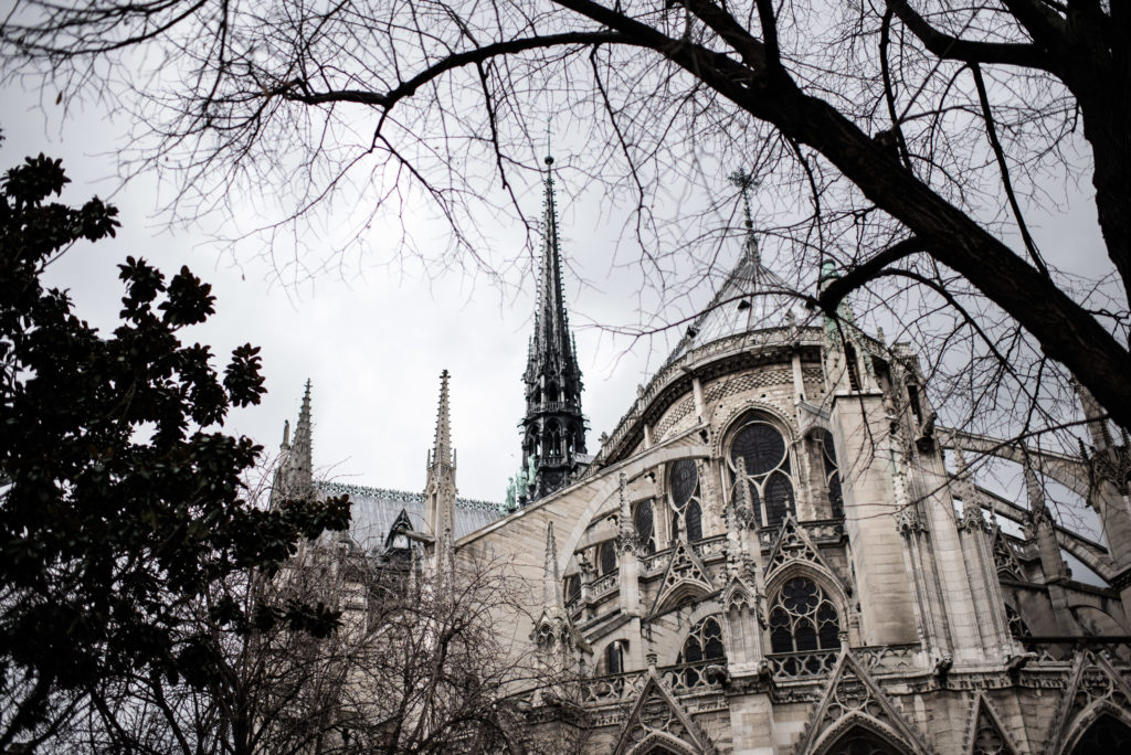 top 5 things to do in Paris